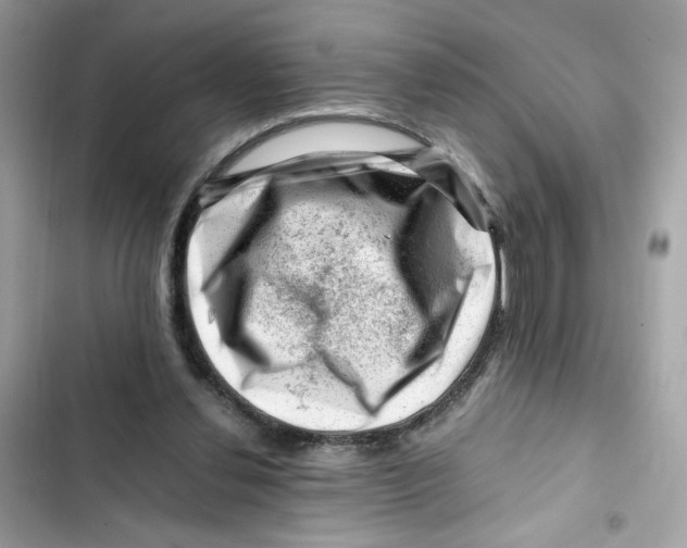 X0000101960252200808151322
