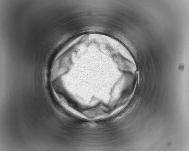 X0000101960253200808151322