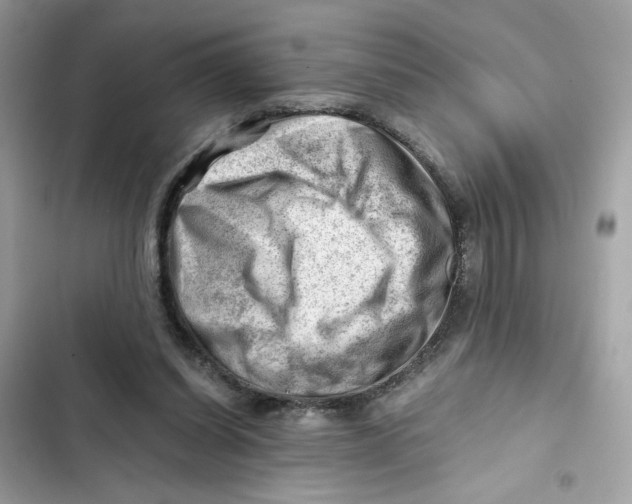 X0000101960254200808151322