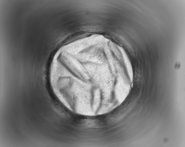 X0000101960255200808151322