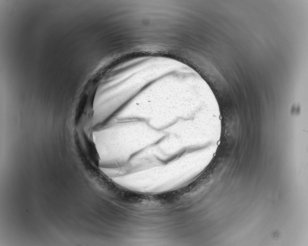 X0000101960256200808151322