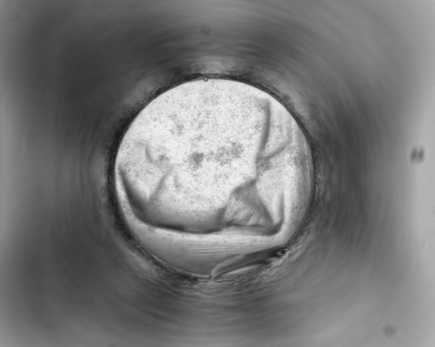 X0000101960257200808151322