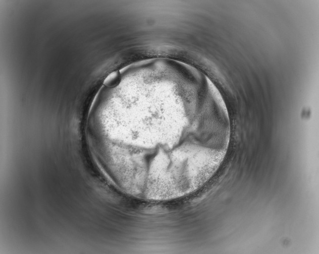 X0000101960258200808151322