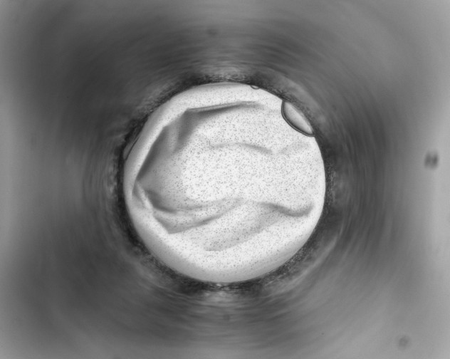 X0000101960259200808151322