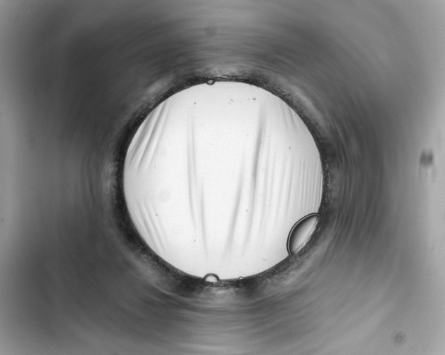 X0000101960260200808151322
