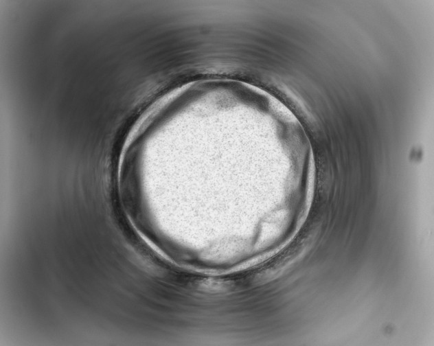 X0000101960261200808151322