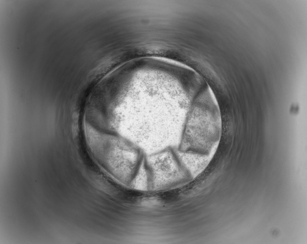 X0000101960262200808151322