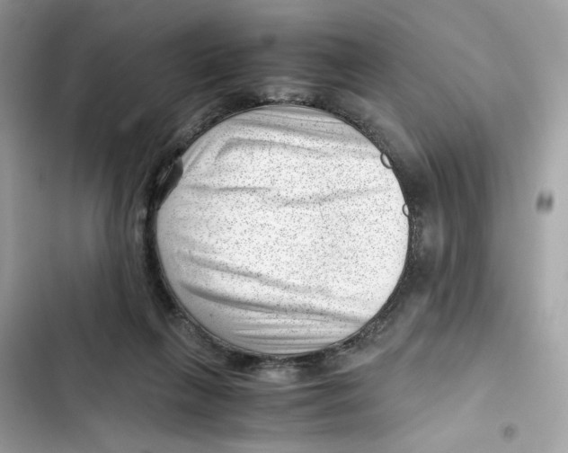 X0000101960263200808151322