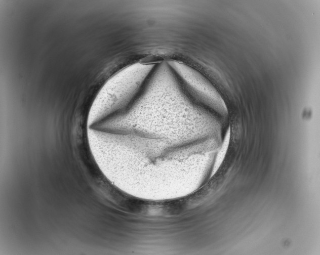 X0000101960264200808151322