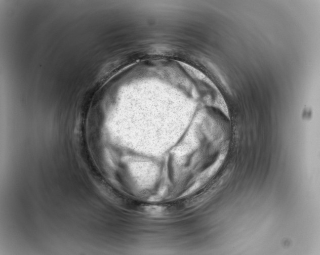 X0000101960265200808151322