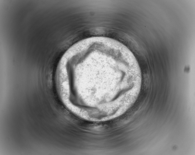 X0000101960267200808151322