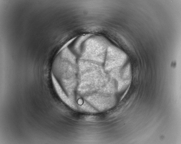X0000101960268200808151322