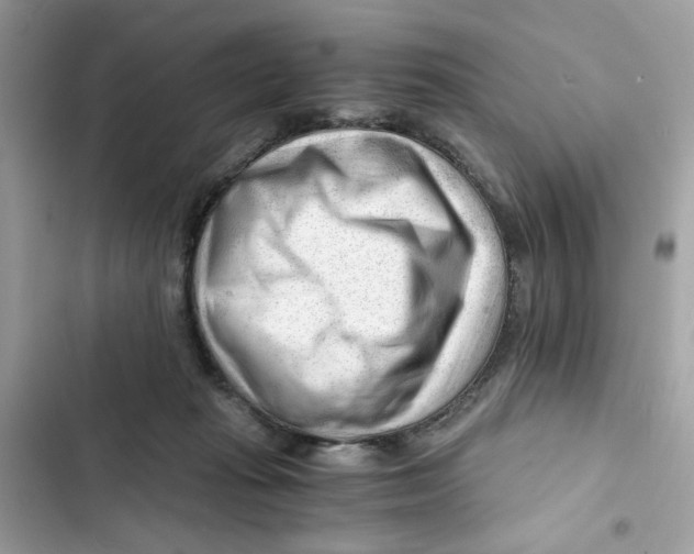 X0000101960269200808151322