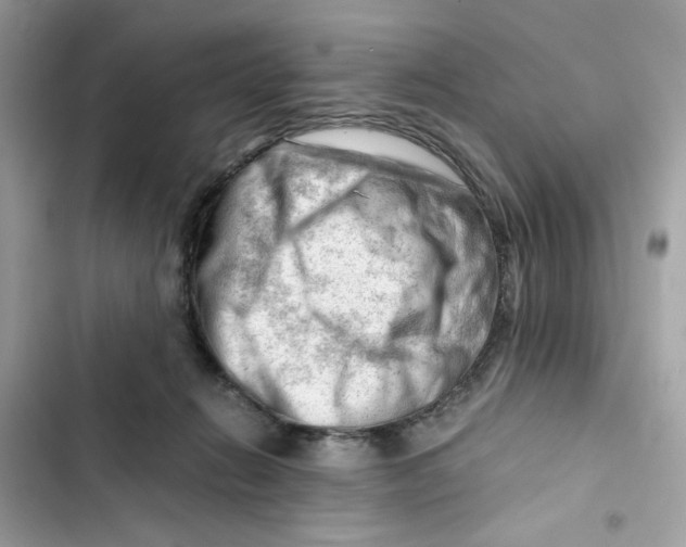 X0000101960270200808151322