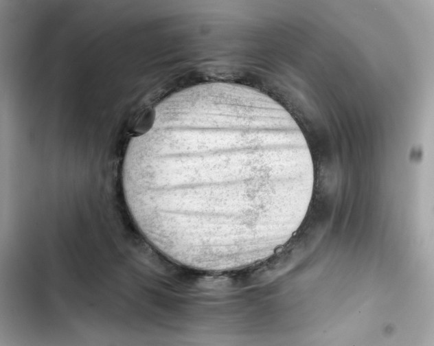 X0000101960271200808151322