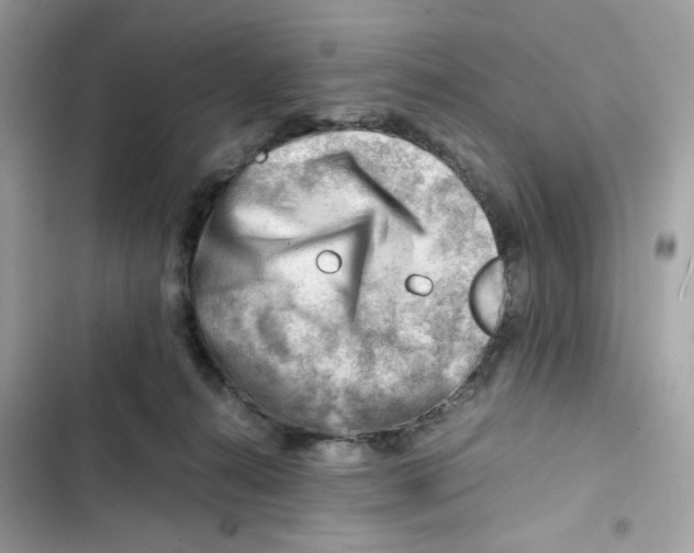 X0000101960272200808151322