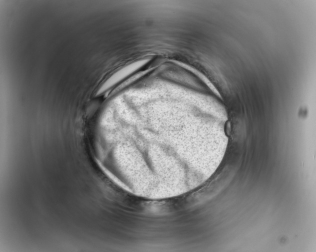 X0000101960273200808151322