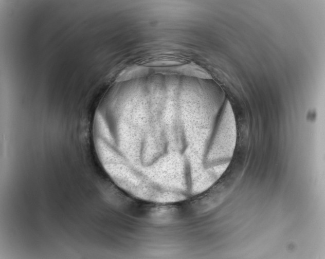 X0000101960274200808151322