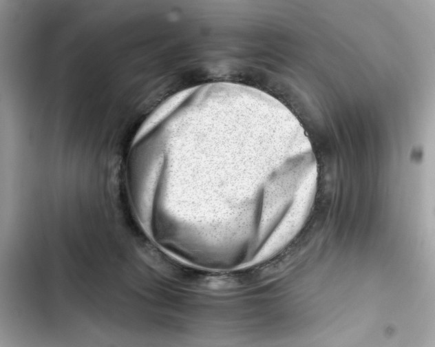 X0000101960275200808151322