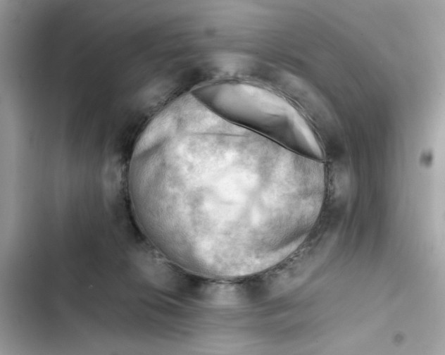 X0000101960276200808151322