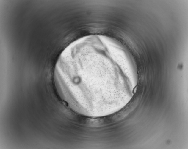 X0000101960277200808151322