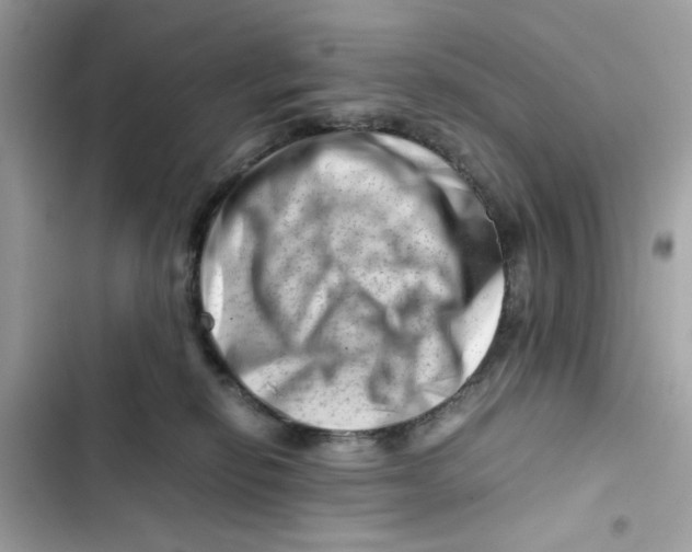 X0000101960278200808151322