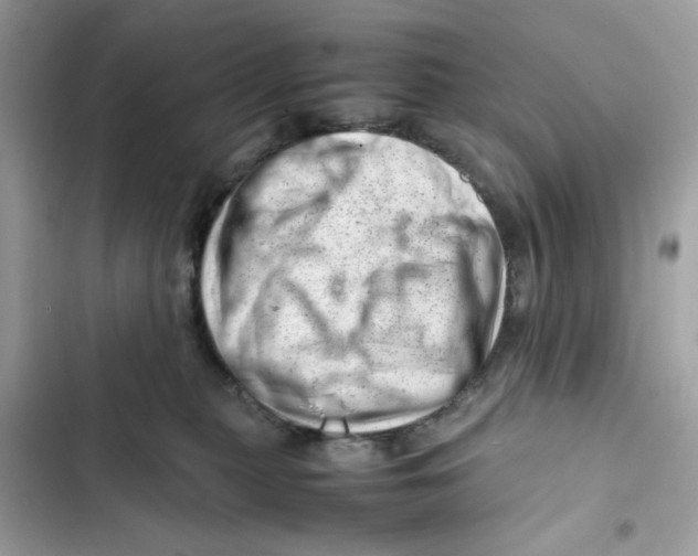 X0000101960279200808151322