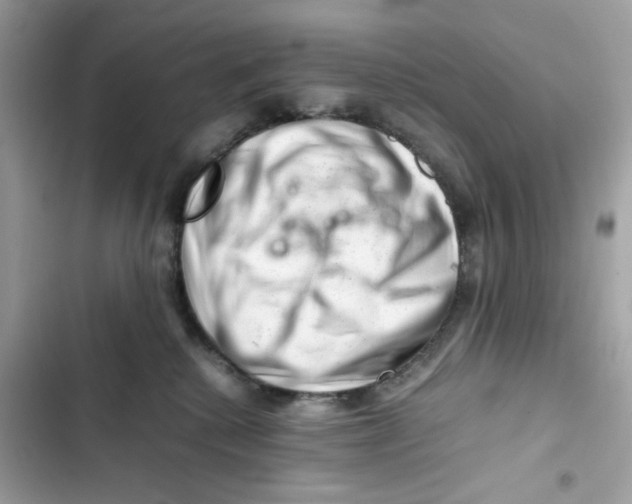 X0000101960280200808151322