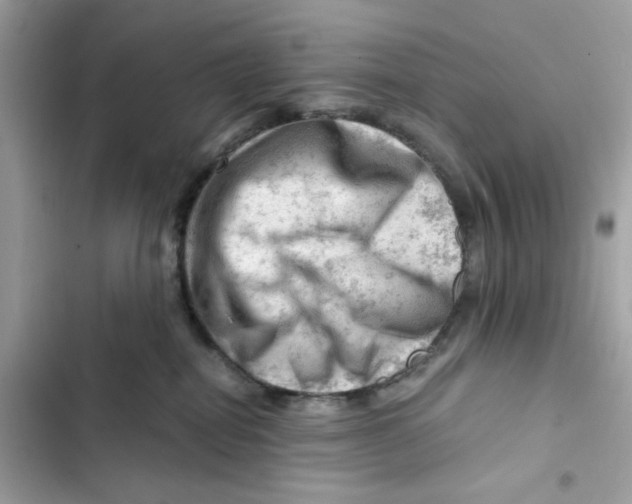 X0000101960282200808151322