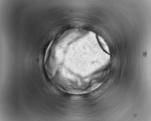 X0000101960283200808151322