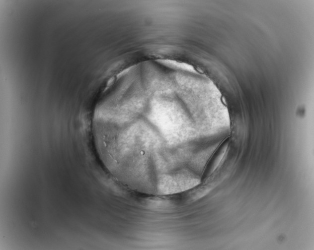 X0000101960284200808151322