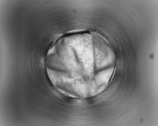 X0000101960286200808151322