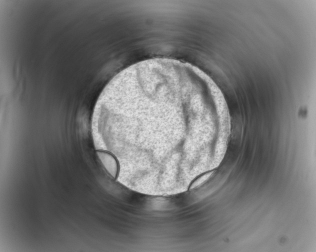 X0000101960287200808151322