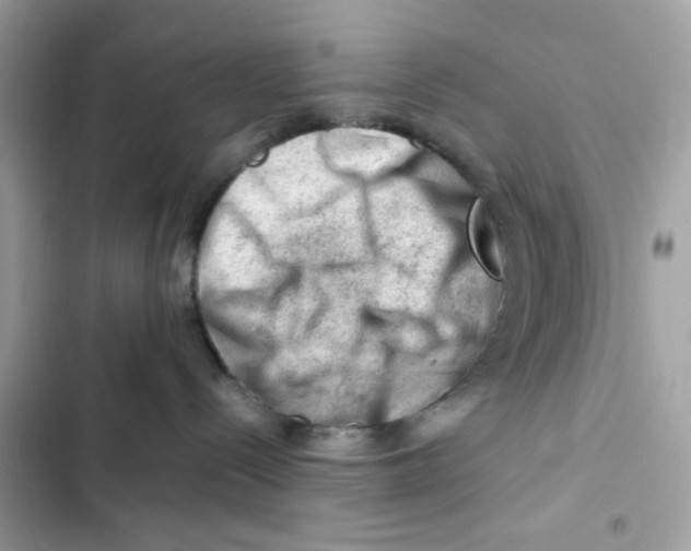 X0000101960288200808151322