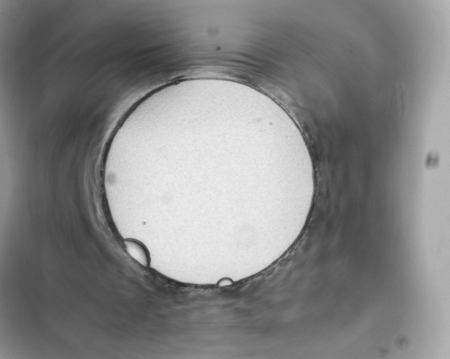 X0000101960289200808151321