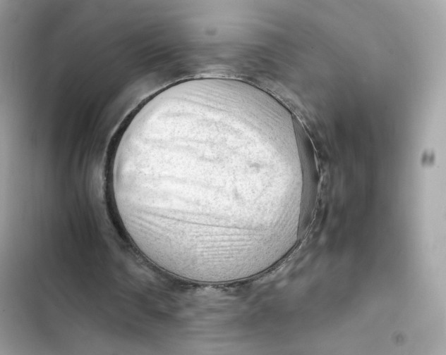 X0000101960290200808151321