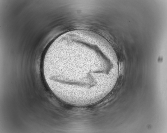 X0000101960291200808151321
