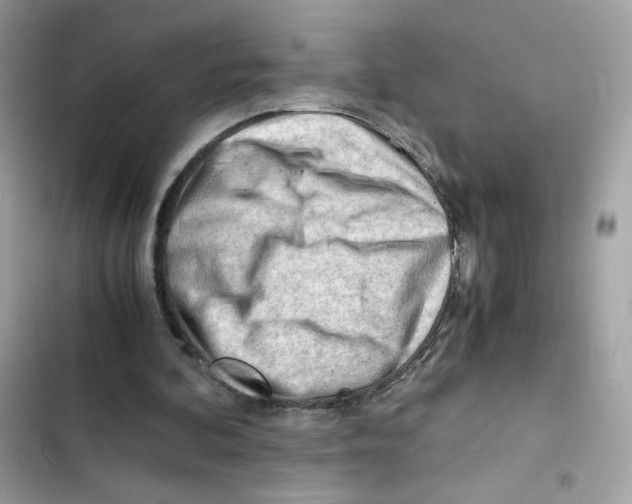 X0000101960292200808151321