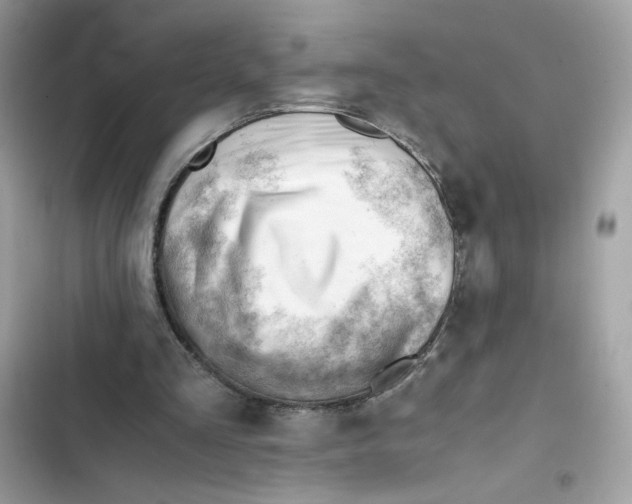 X0000101960293200808151321