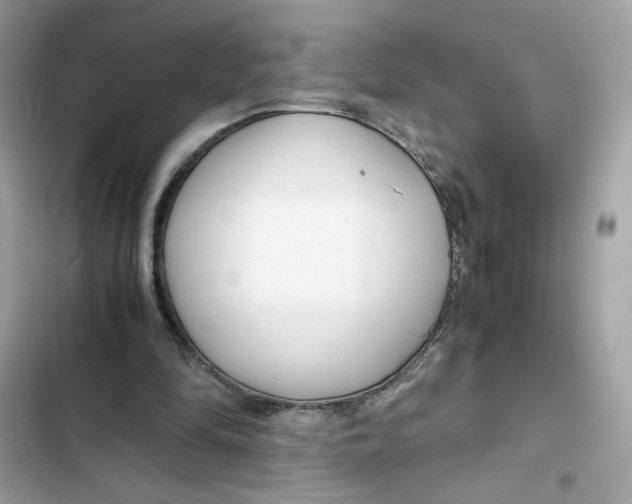 X0000101960294200808151321