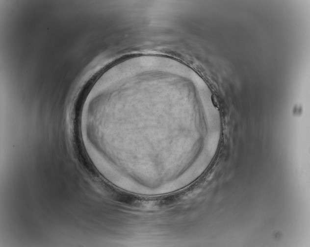 X0000101960295200808151321