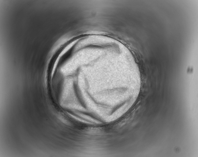 X0000101960296200808151321