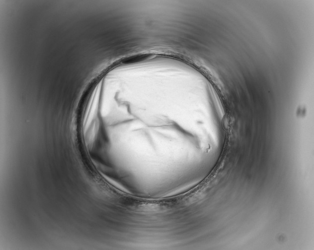 X0000101960298200808151321