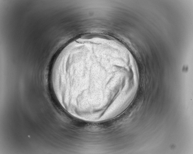 X0000101960299200808151321