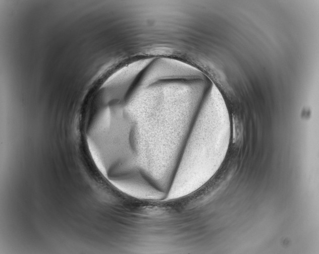 X0000101960300200808151321