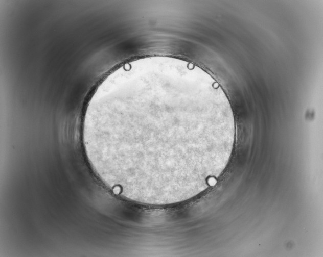 X0000101960301200808151321