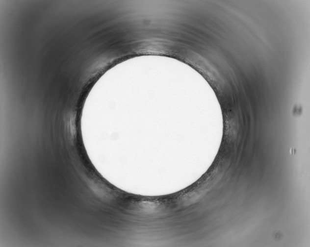 X0000101960302200808151321