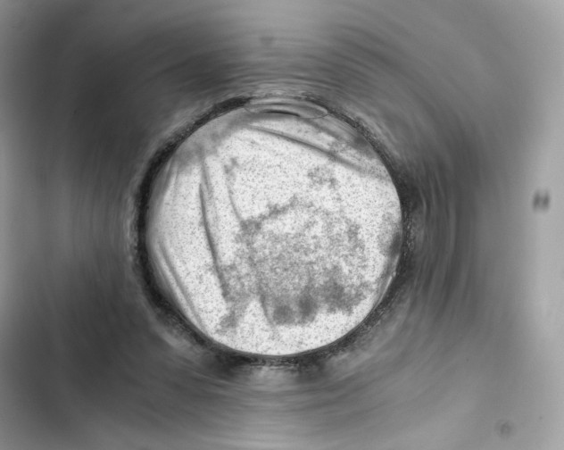X0000101960303200808151321