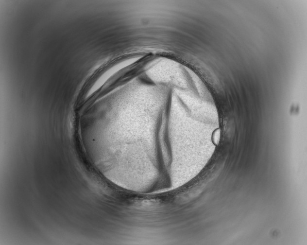 X0000101960304200808151321