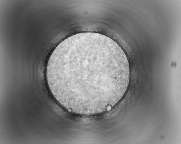 X0000101960305200808151321